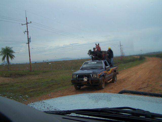 100_2278.JPG 100_2278.JPG