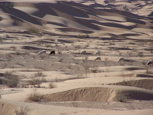 100_2751.JPG 100_2751.JPG