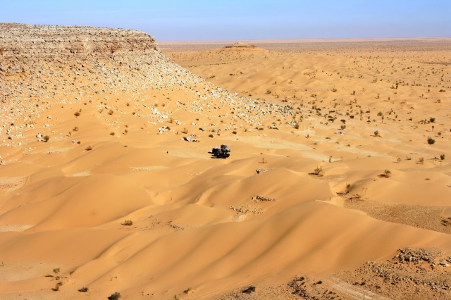 IMG_7452.JPG IMG_7452.JPG