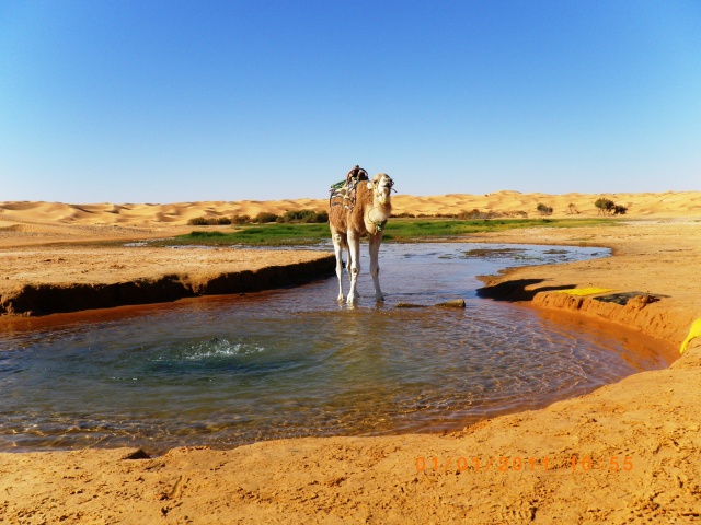 IMGP0582.JPG IMGP0582.JPG