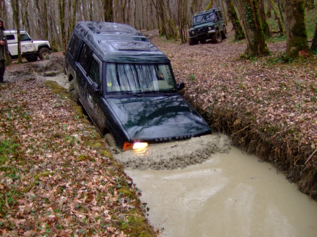 DSCF7351.JPG DSCF7351.JPG