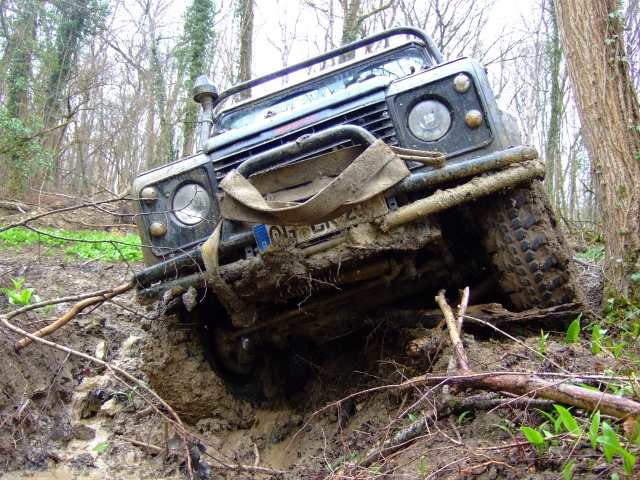 DSCF7408.JPG DSCF7408.JPG