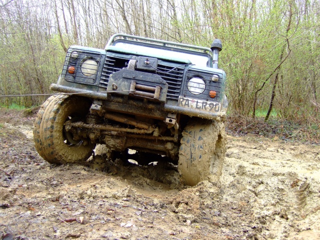 DSCF7508.JPG DSCF7508.JPG