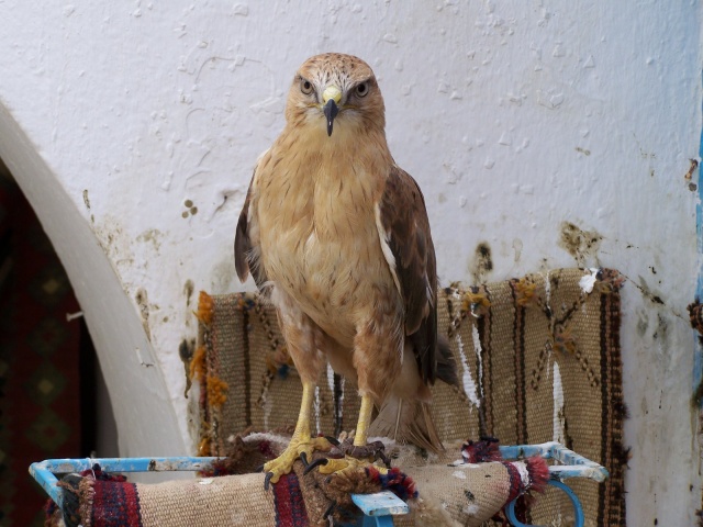 100_3686.JPG 100_3686.JPG