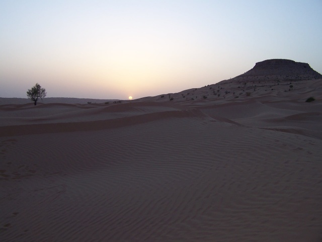 100_3700.JPG 100_3700.JPG