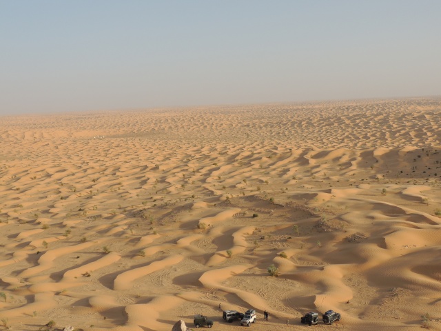 DSCN0219.JPG DSCN0219.JPG