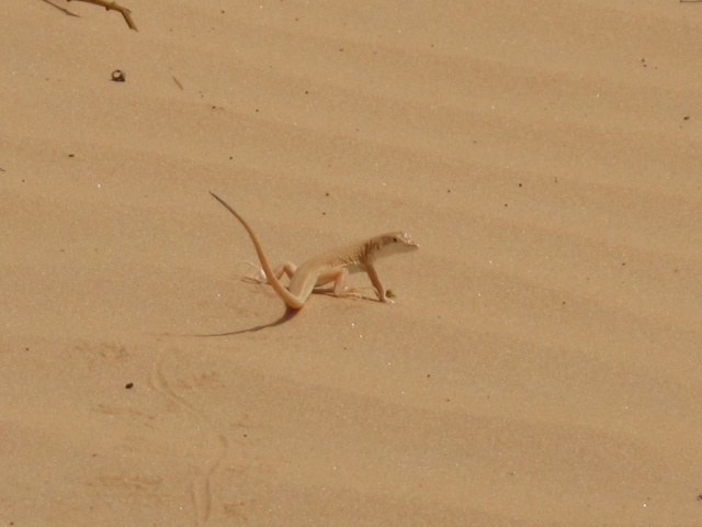 IMG_5861.jpg IMG_5861.jpg