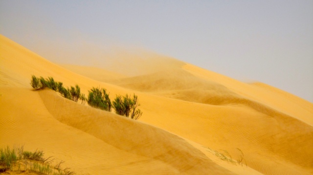 IMG_5924.jpg IMG_5924.jpg