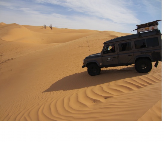 IMG_2359.jpg IMG_2359.jpg