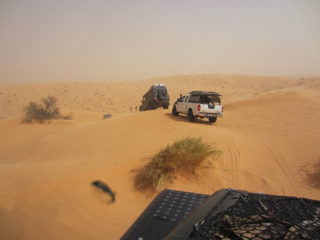 IMG_2380.jpg IMG_2380.jpg