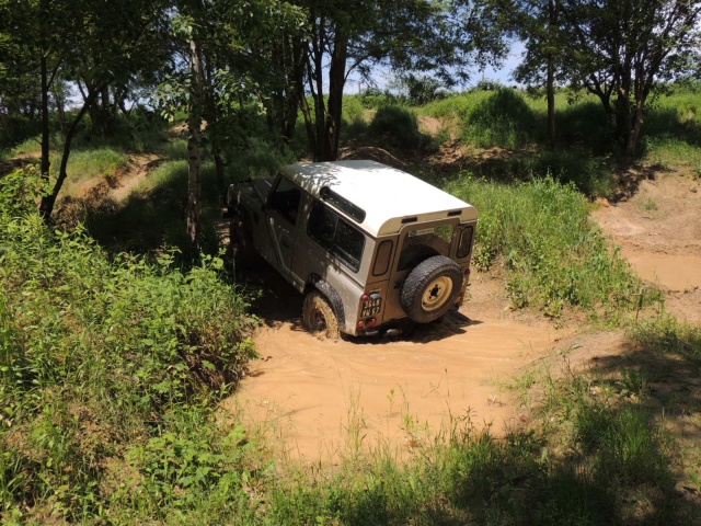 DSCN4611.JPG DSCN4611.JPG