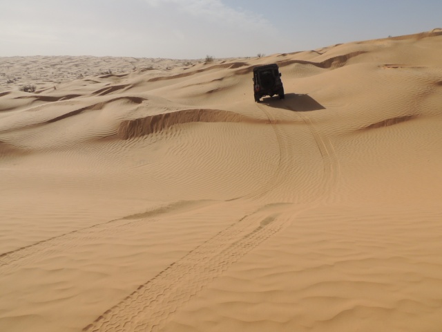 DSCN5747.JPG DSCN5747.JPG