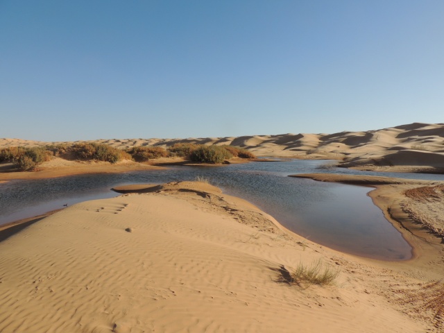 DSCN5839.JPG DSCN5839.JPG