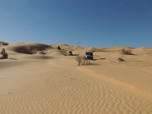 DSCN5889.JPG DSCN5889.JPG