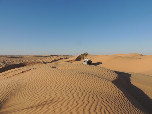 DSCN5926.JPG DSCN5926.JPG