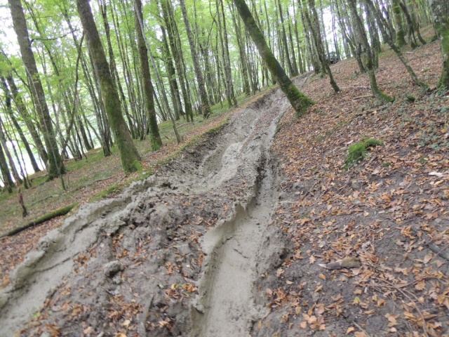 DSCN5467.JPG DSCN5467.JPG