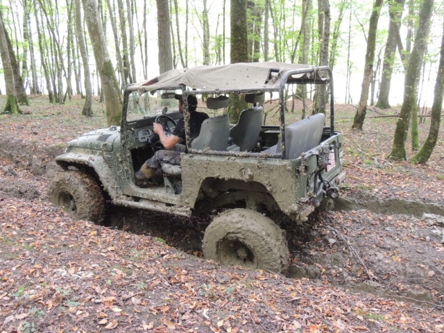 DSCN5472.JPG DSCN5472.JPG